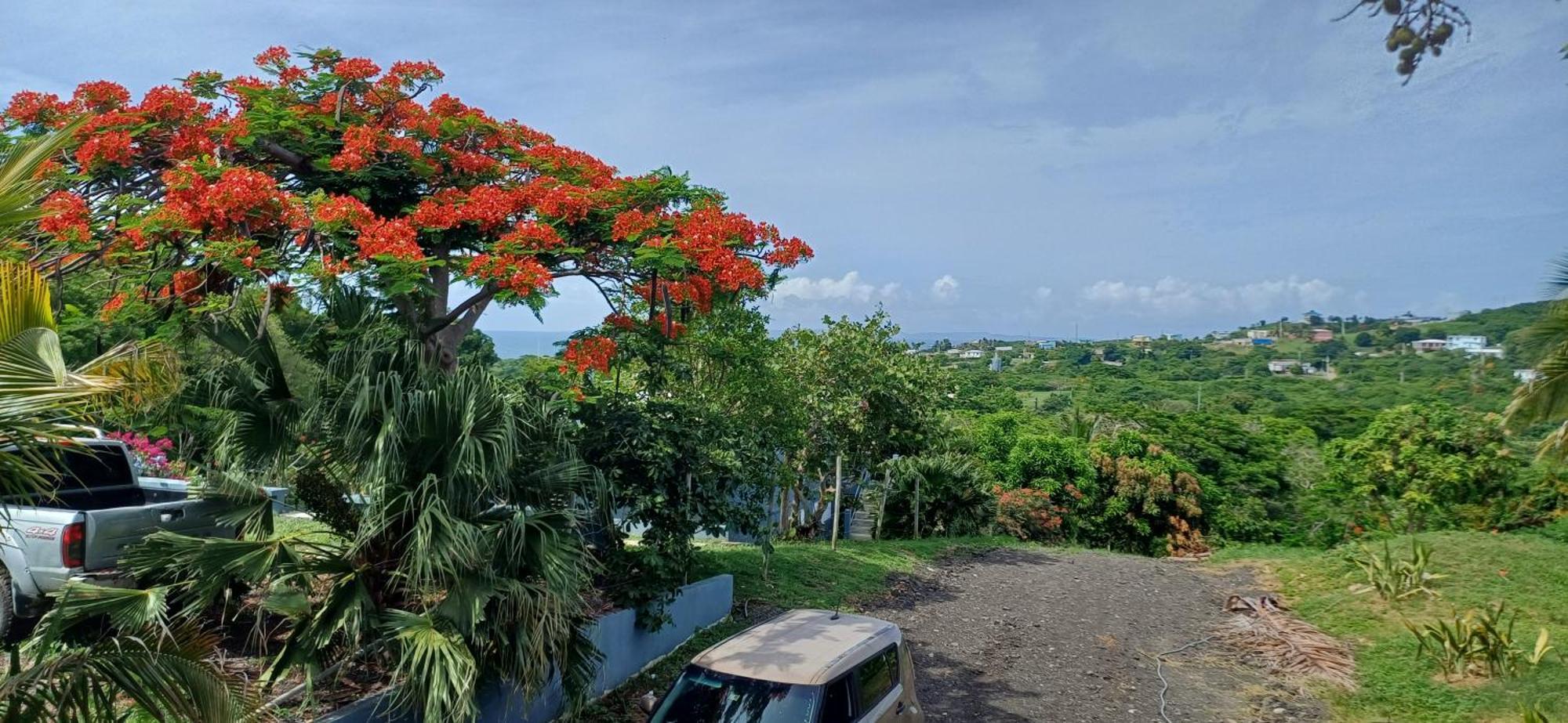Rooster Run Glamping Camping Has Rooftop And Off The Ground Glamping Experience For 1 To 16 In A Single Tent And Views Of The Rain Forrest And To Culebra Across The Atlantic Ocean W Tents, Linens, Deluxe Air Beds, Warm Shower And More At A Great Pric В'єкес Екстер'єр фото